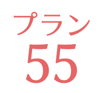 プラン55